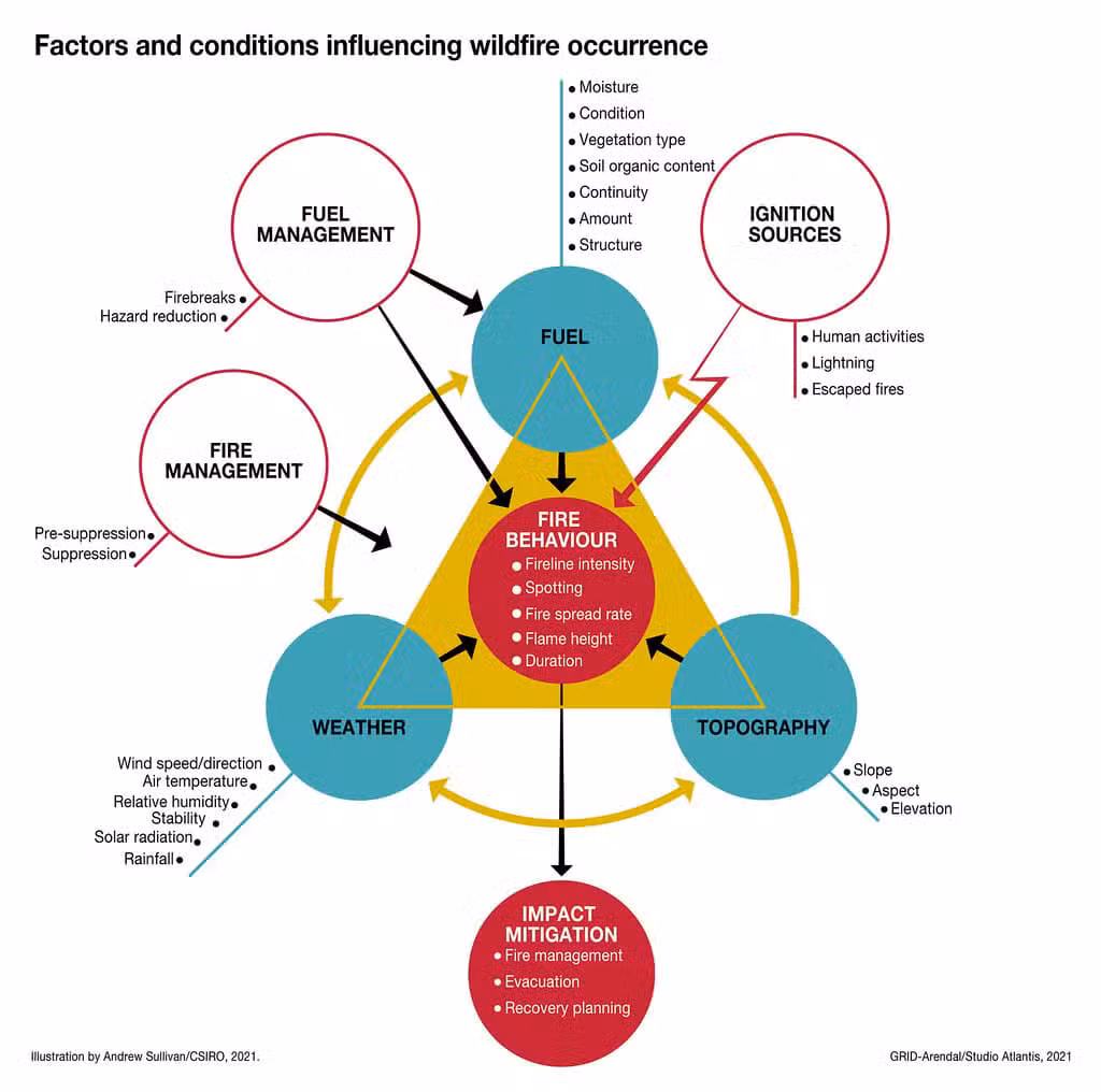 Factors that affect wildfire behavior