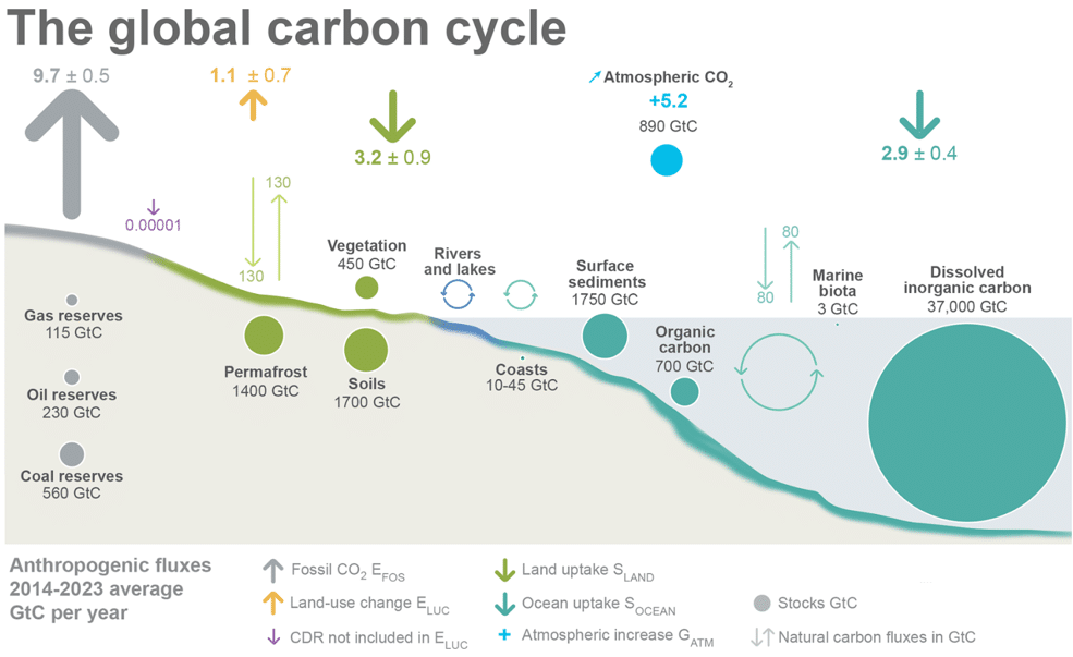 Global carbon cycle.