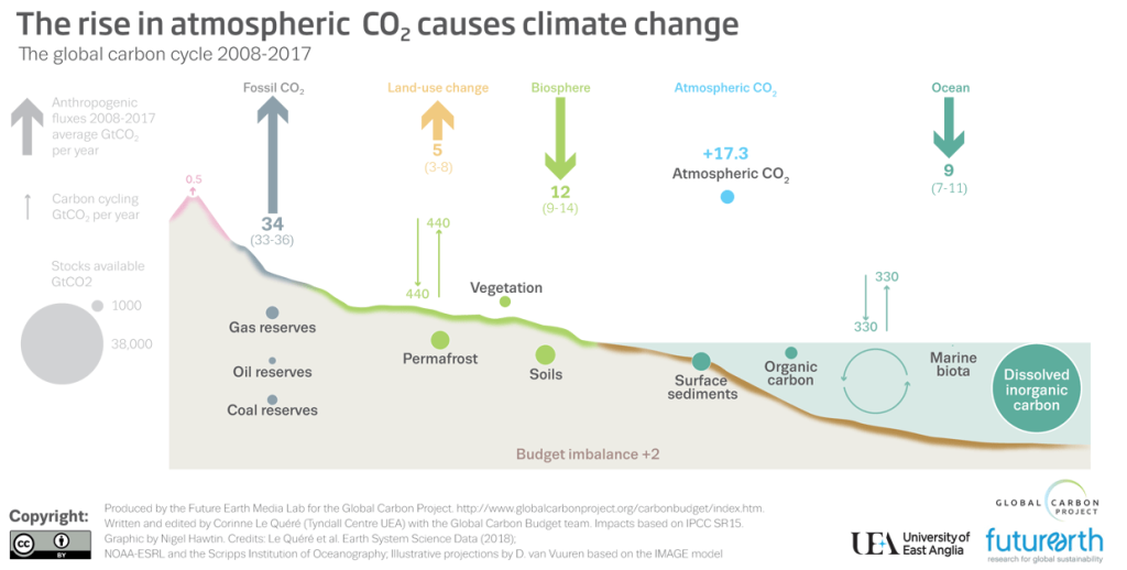 graphic showing movement of carbon around the carbon cycle