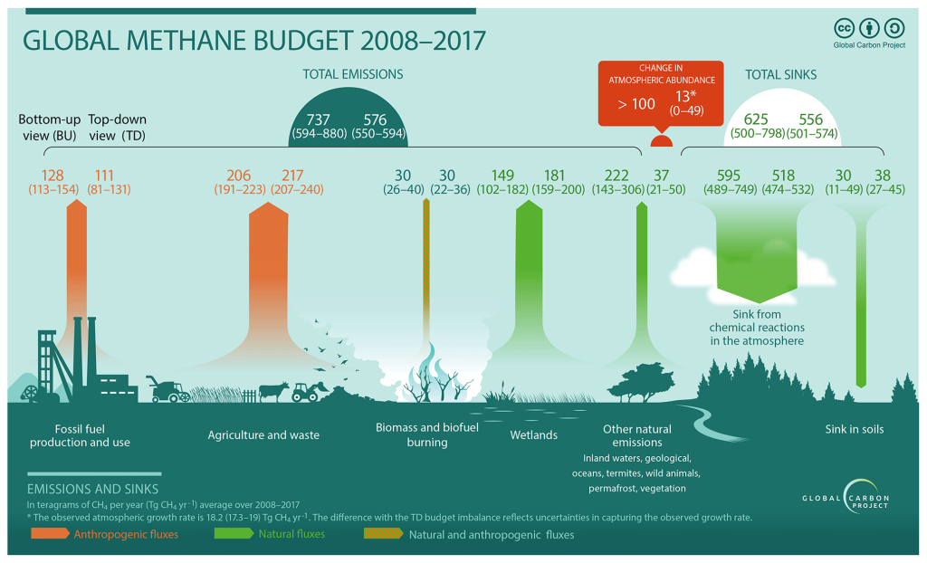 figure showing global methane budget