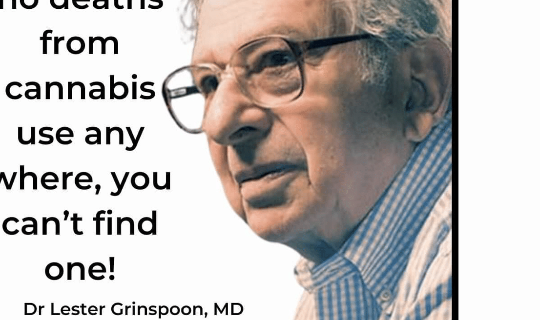 cannabis deaths lester grinspoon