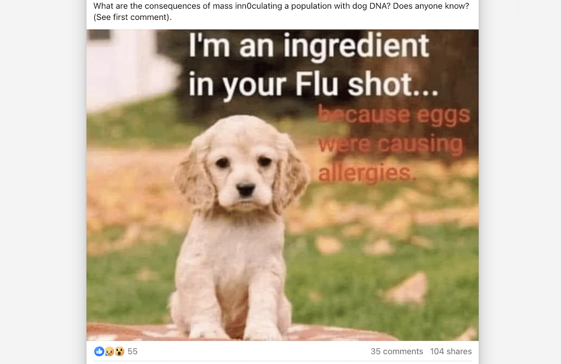 no dogs in flu vaccines