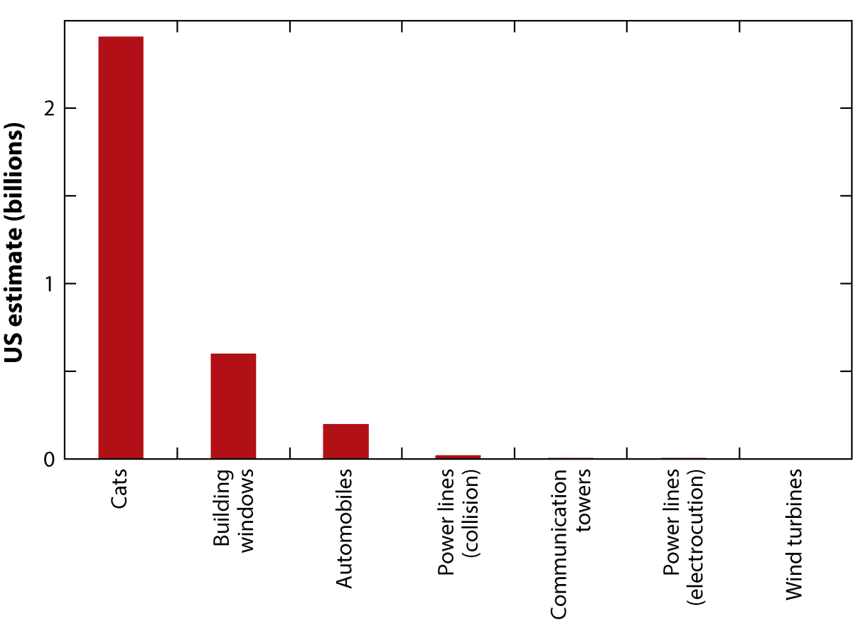 Plot of estimated numbers of birds killed in the U.S. by different sources. Cats kill more than two billion; building windows and automobiles each kill hundreds of millions; while wind turbines kill less than a million each year, according to estimates.