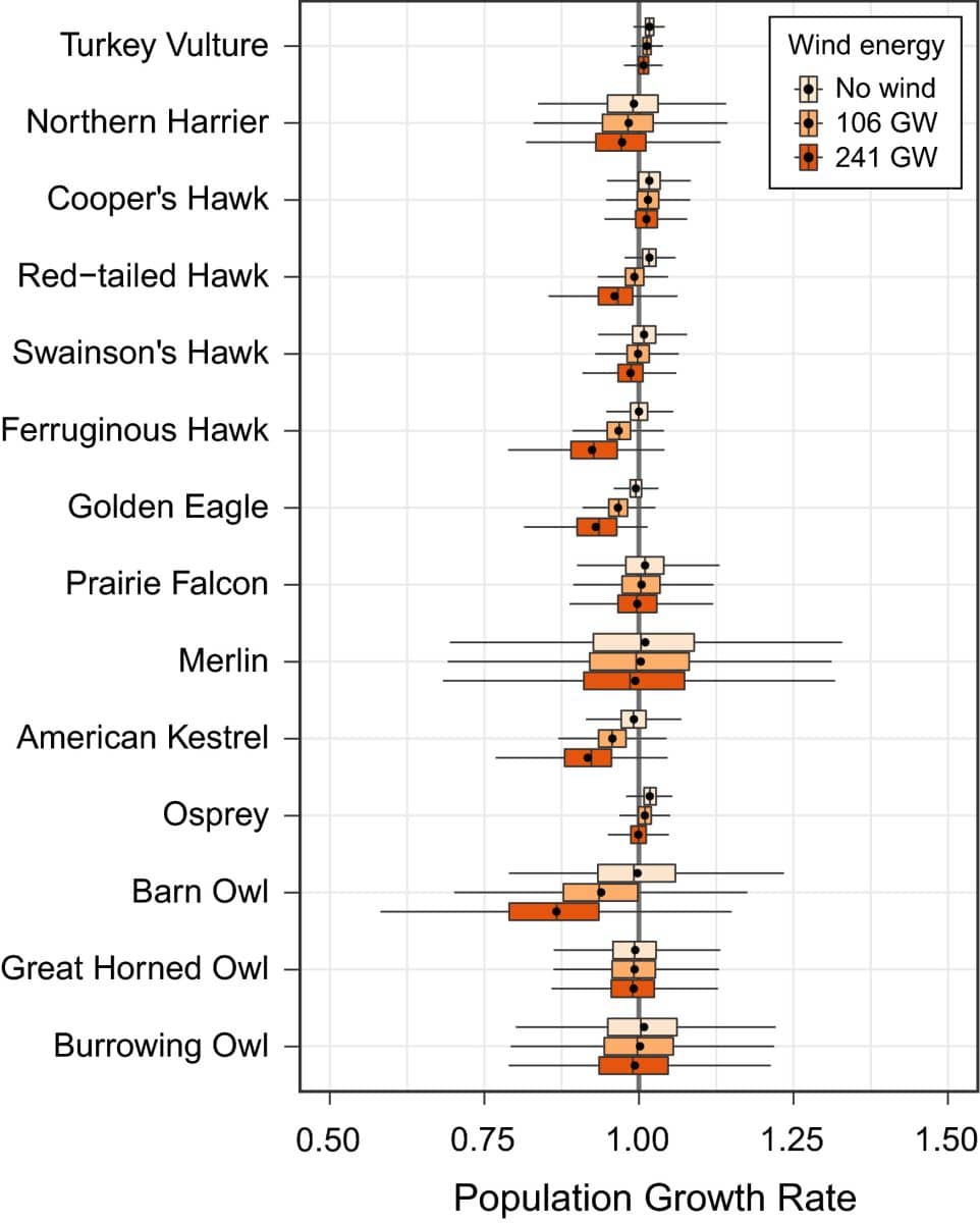 A plot showing estimated population change rates of different large bird species in the U.S., in three different scenarios: no wind energy, moderate wind energy, and high wind energy. An increase in wind energy lowers most species' growth rates, though the uncertainty is large.