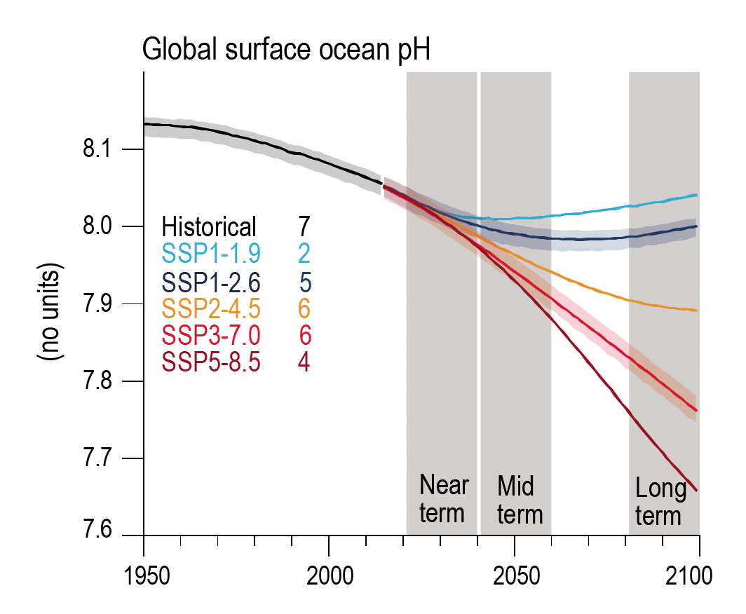 pH projections 2100. Ocean acidity projections. Surface ocean acidity projections. 