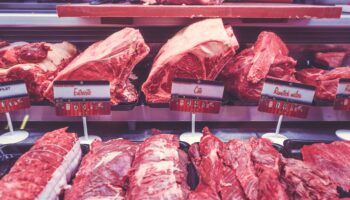 Viande rouge
