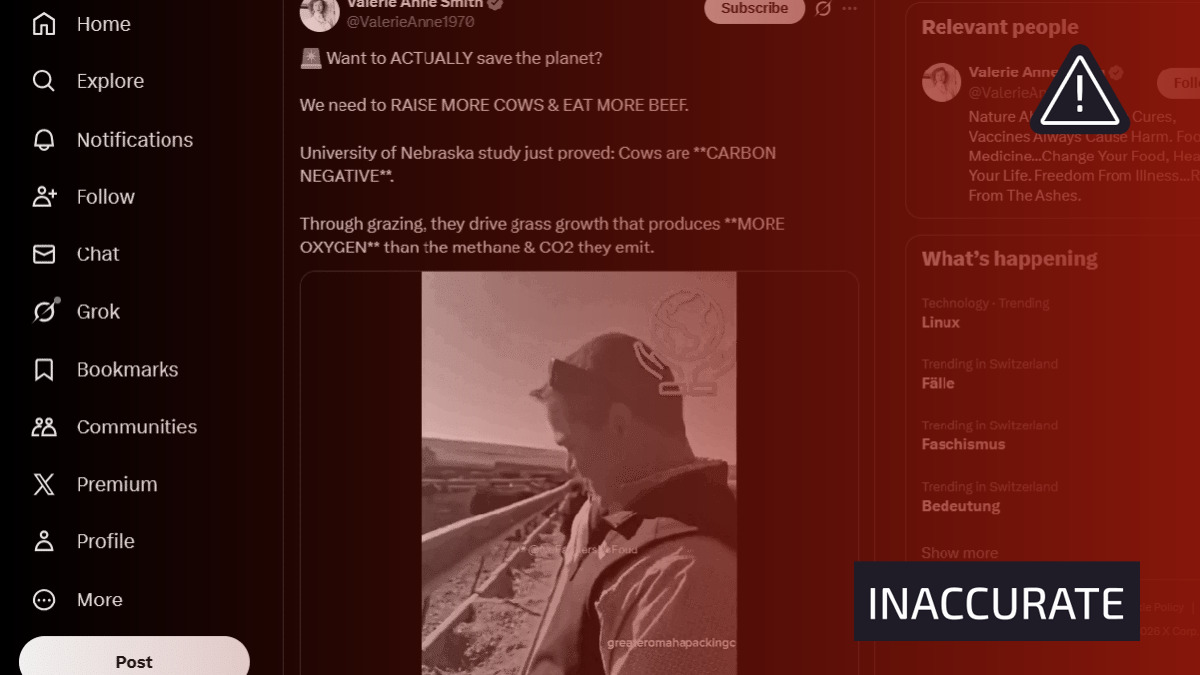 Viral claims that cows and beef are climate solutions ignore the impacts of cattle farms