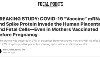 Nicolas Hulscher COVID vaccine placenta spike protein